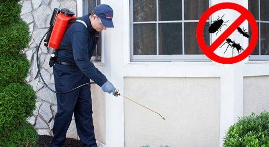 Çankırı Kene İlaçlama böcek ilaçlama ve haşere kontrolü — ilaclama-tr.com
